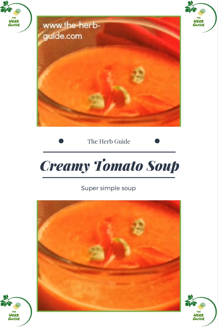 Creamy Tomato Basil Soup