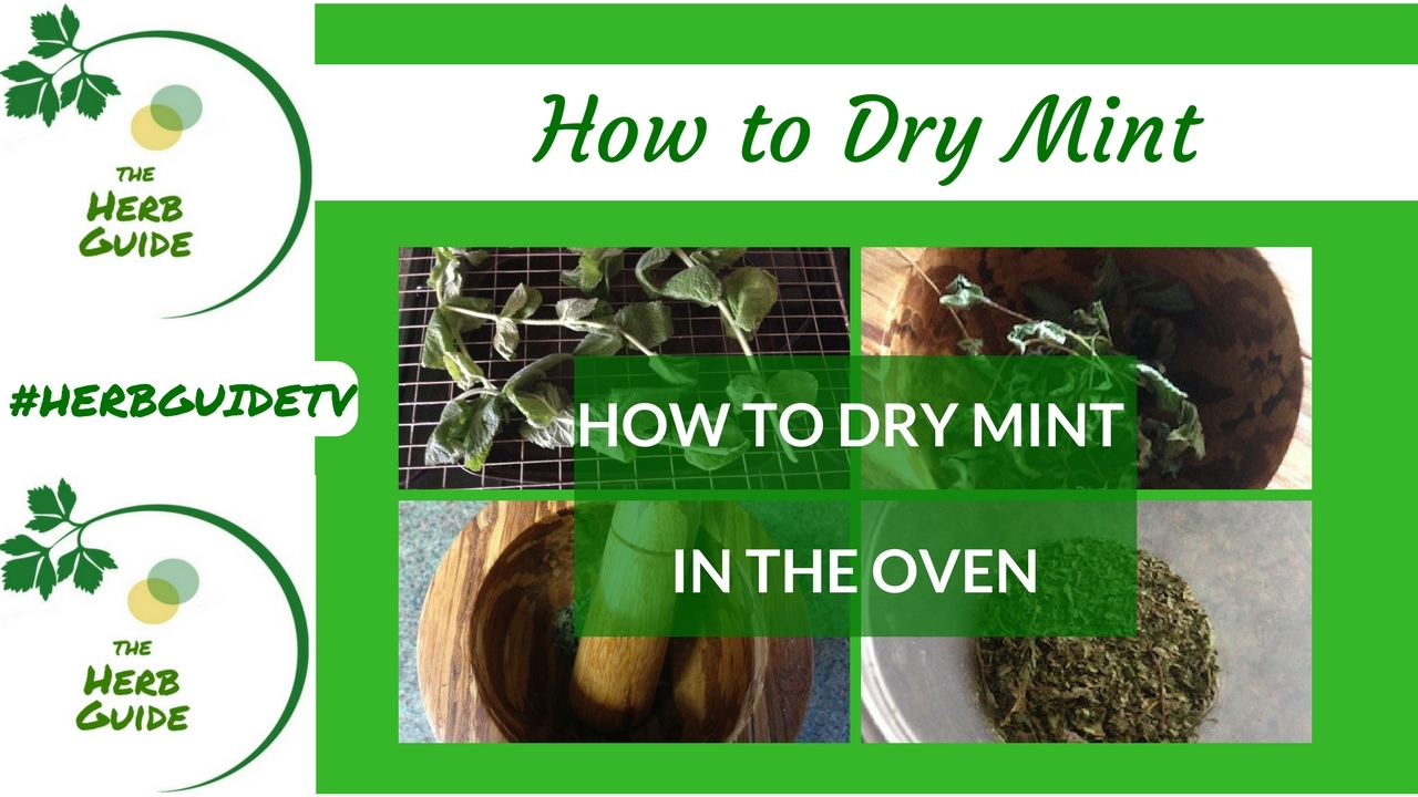 How to Dry Herbs