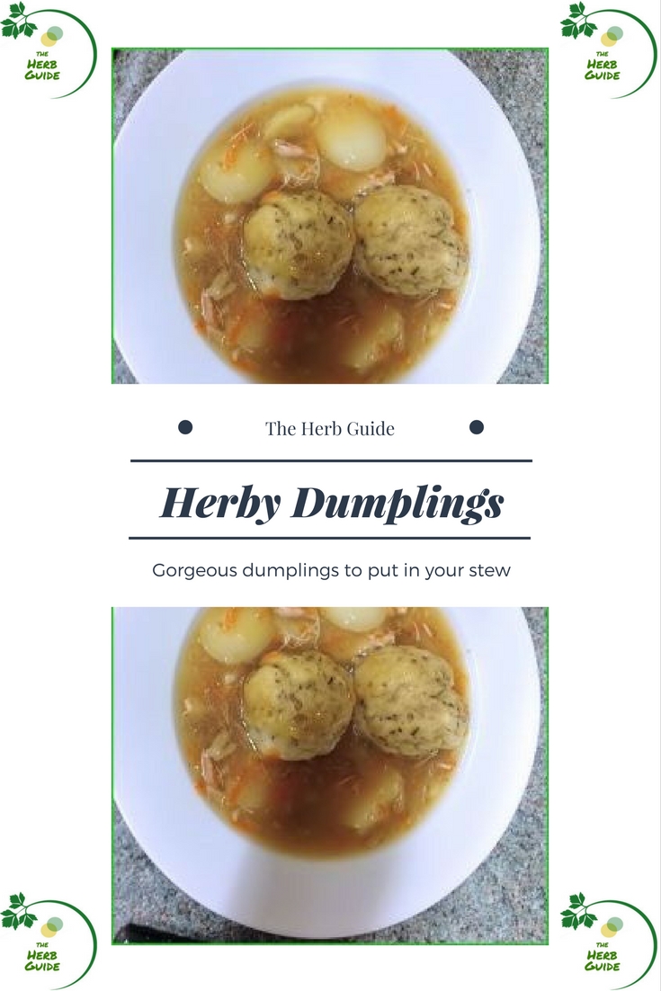 Herb Dumplings Recipe