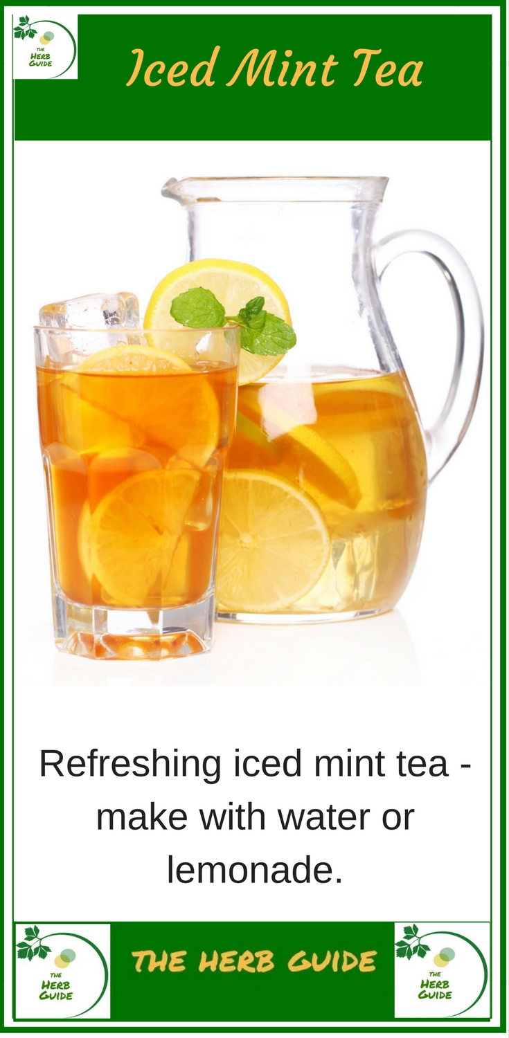 Iced Mint Tea