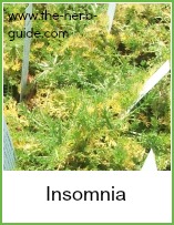 insomnia herbs