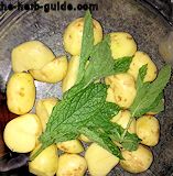 https://www.the-herb-guide.com/images/minted-new-potatoes-04.jpg