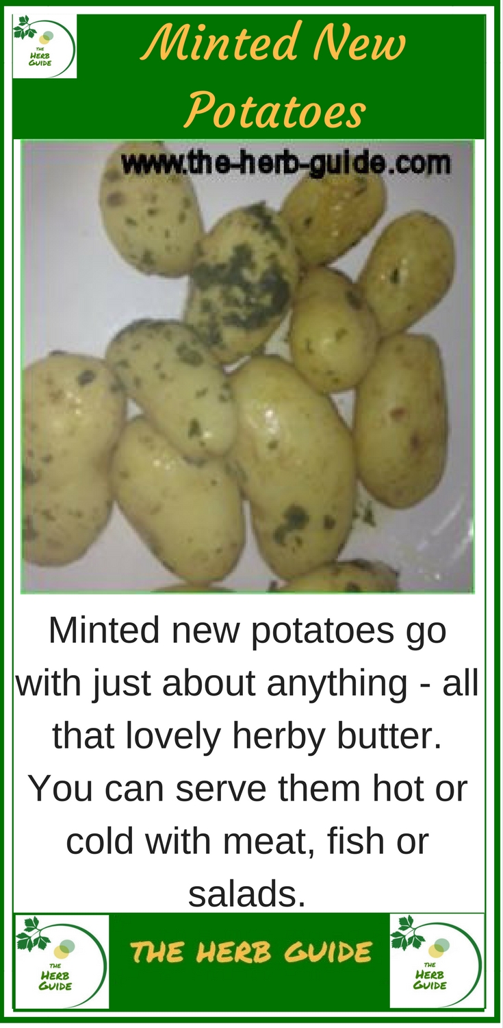 Minted New Potatoes - What A Girl Eats