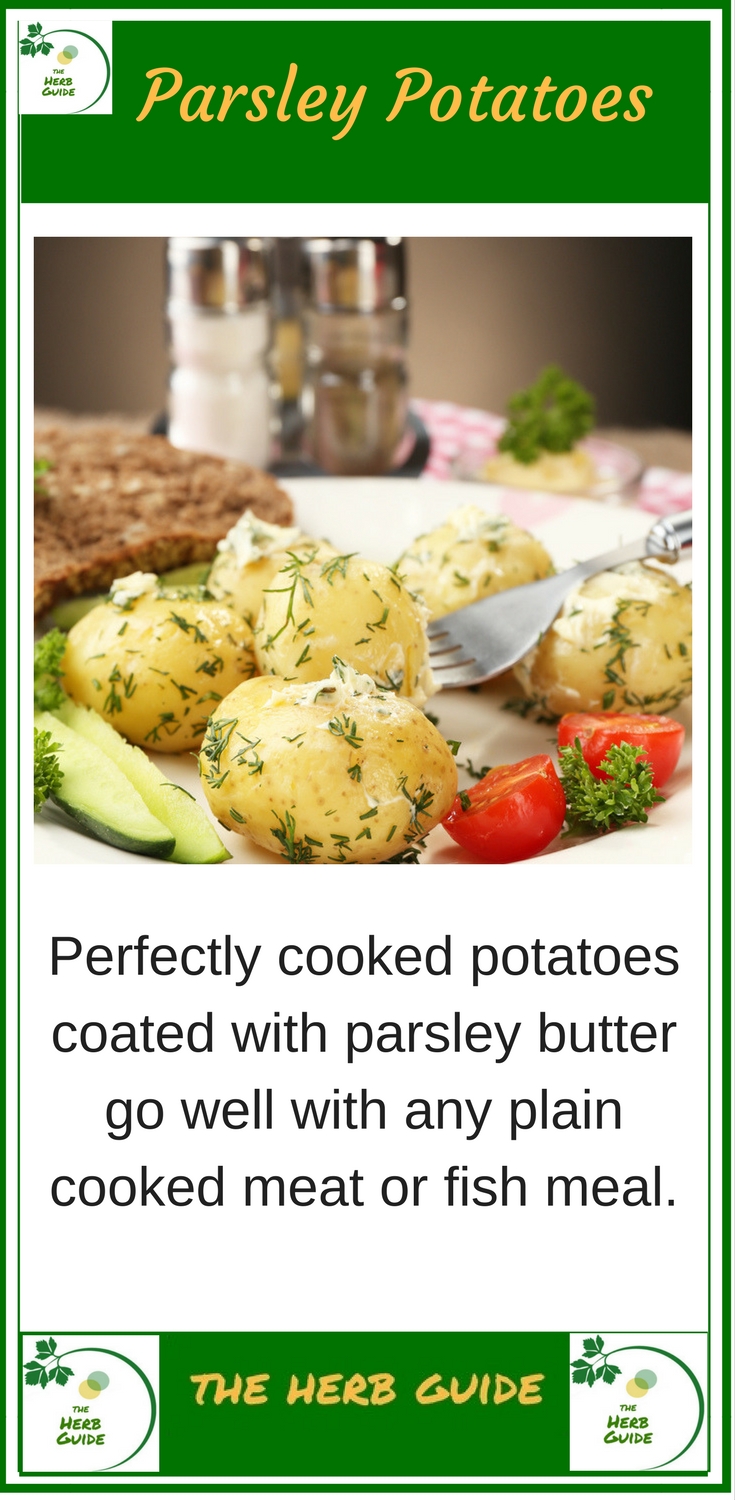 Easy Steamed Parsley New Potatoes - Great Eight Friends