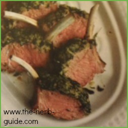 Lamb Rosemary Recipe