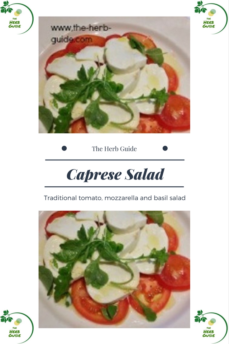 Caprese Salad